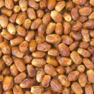 خرمای زاهدی (Zahedi)